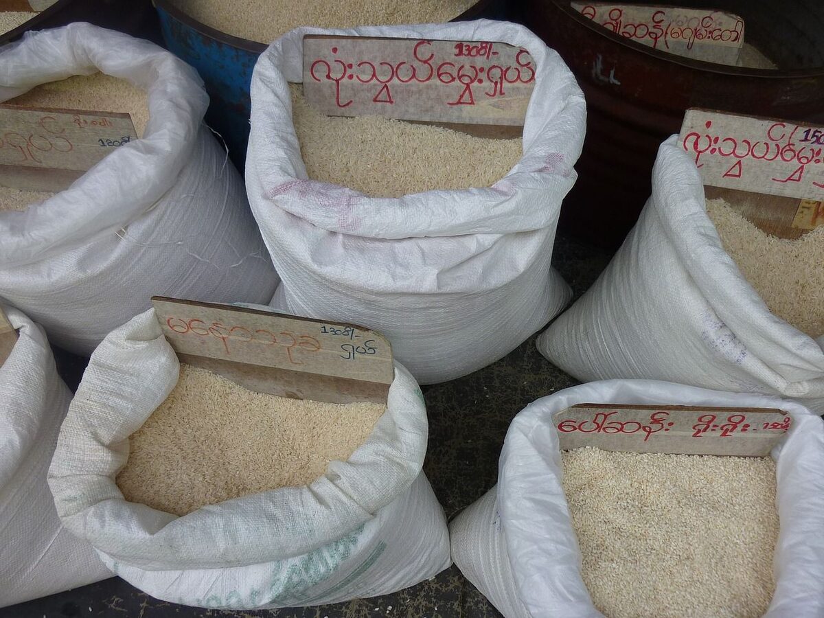Wholesale & Bulk