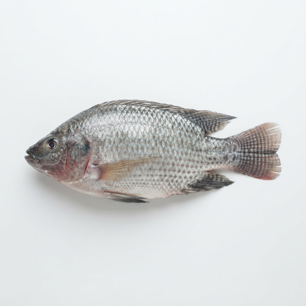 Fish & Seafood